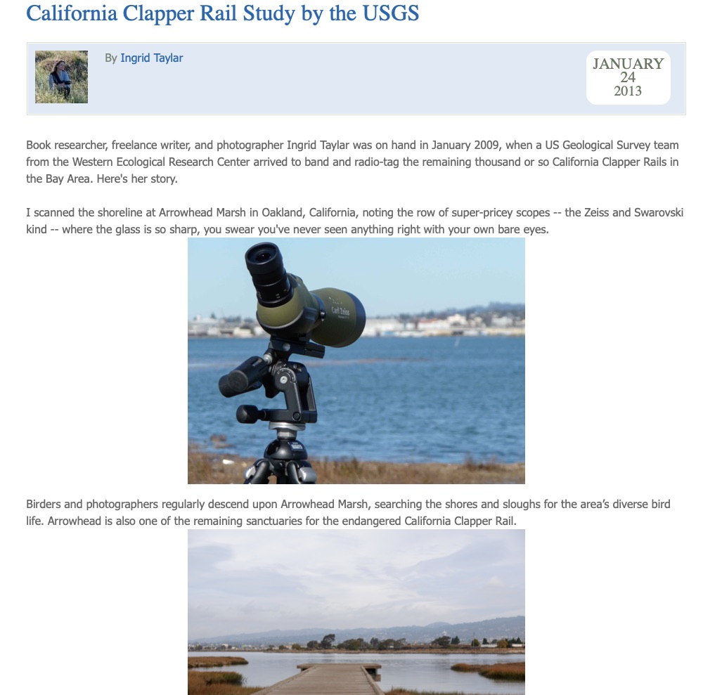 USGS California Clapper Rail Study