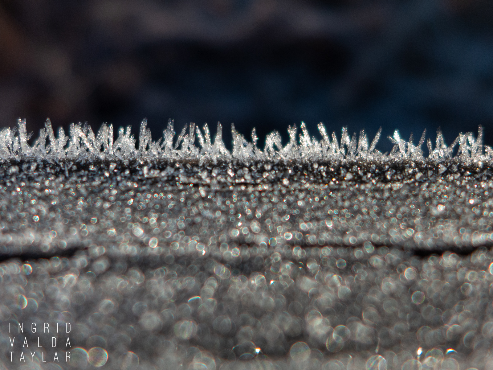 Ice Crystals on Fence