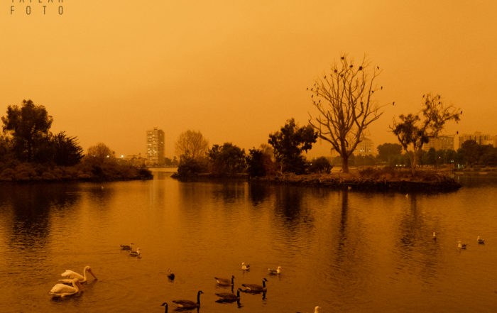 Lake Merritt in Orange Wildfire Smoke