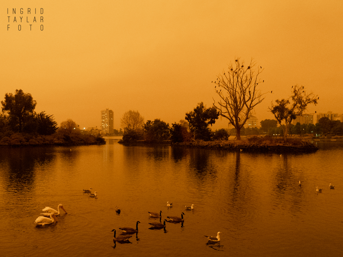 Lake Merritt in Orange Wildfire Smoke