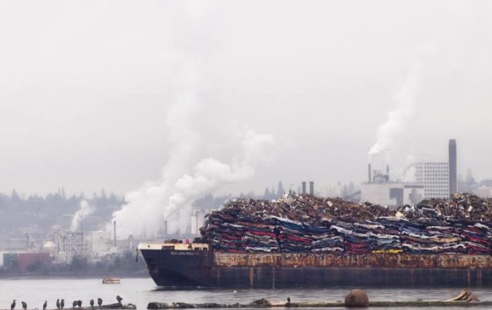 Cormorants and Port of Tacoma