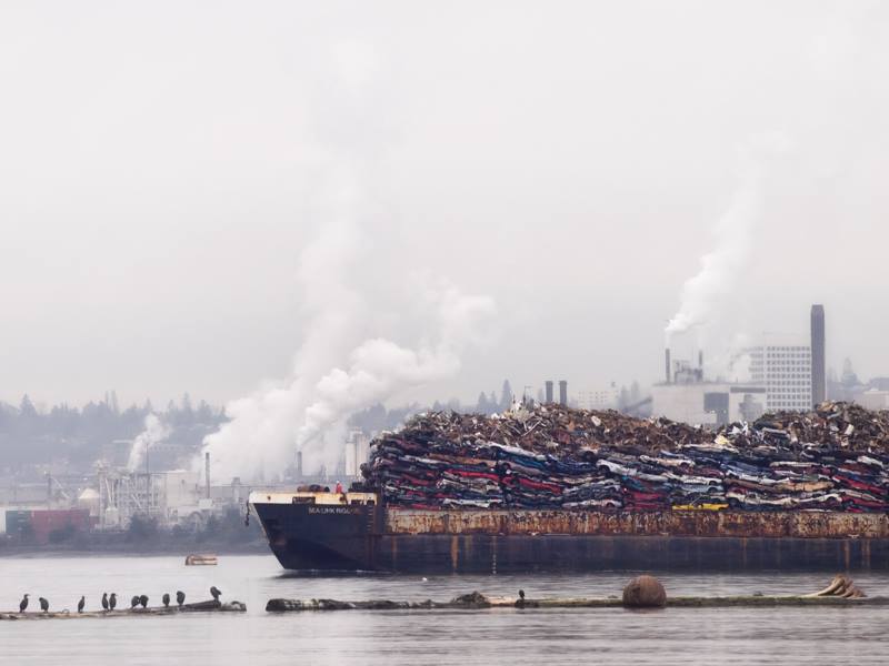 Cormorants and Port of Tacoma