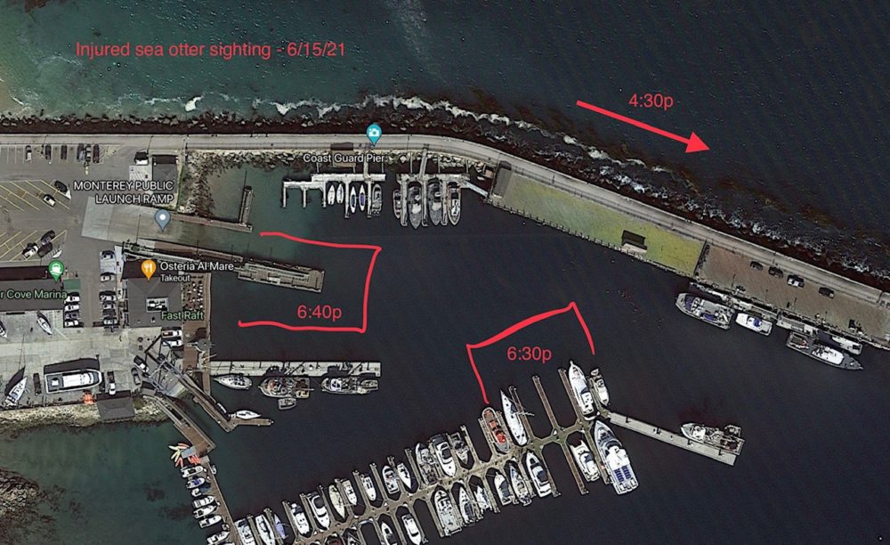 Sea Otter Injury Map Sea Otter Injury Map