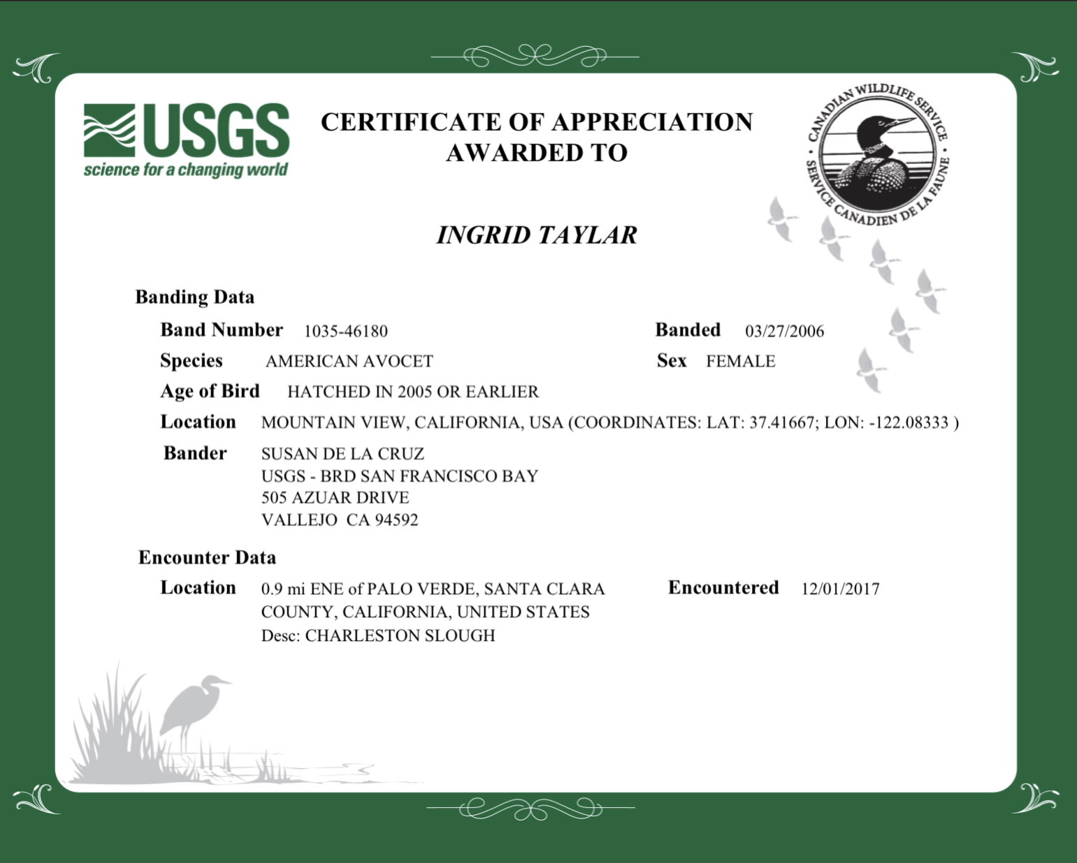 USGS Banding Certificate for American Avocet