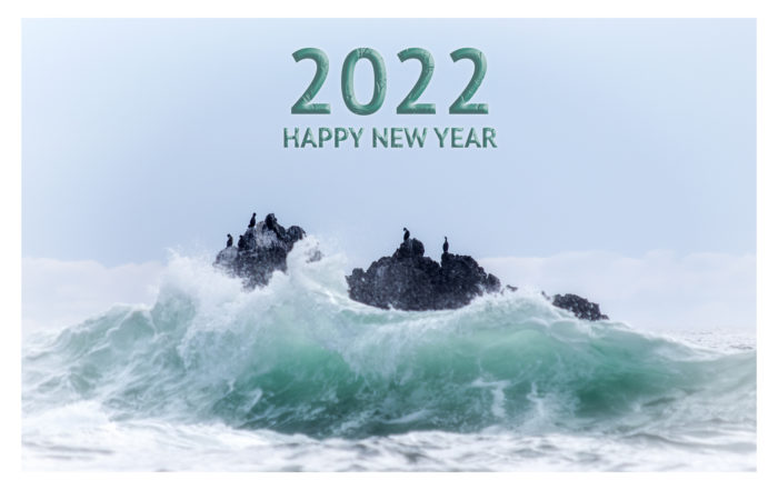 Cormorants on rock in Pacific storm