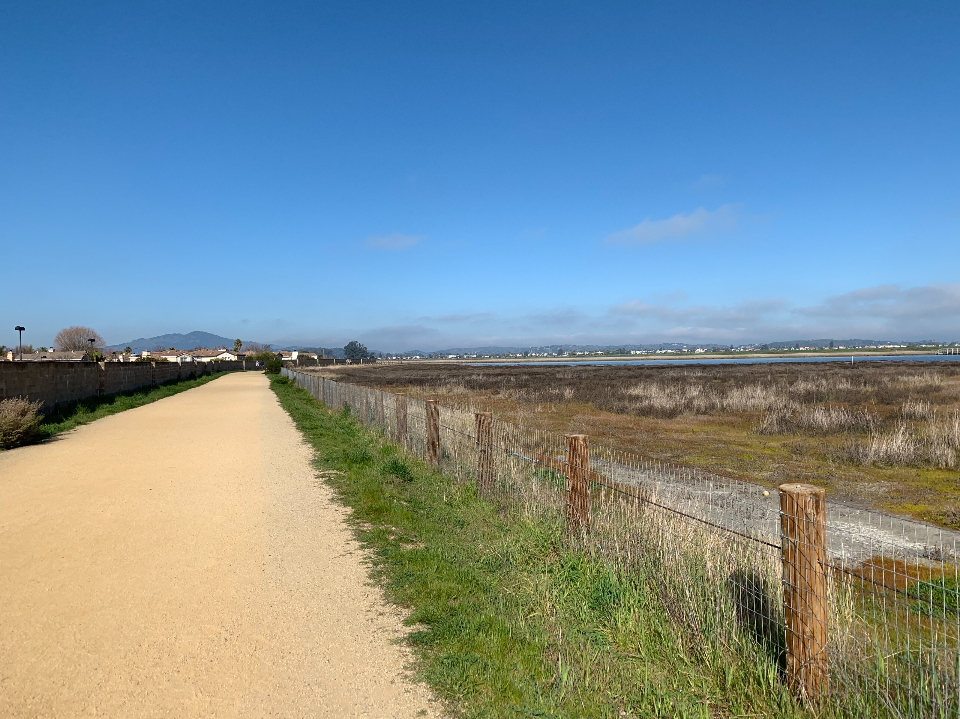 Hamilton Wetlands Trail