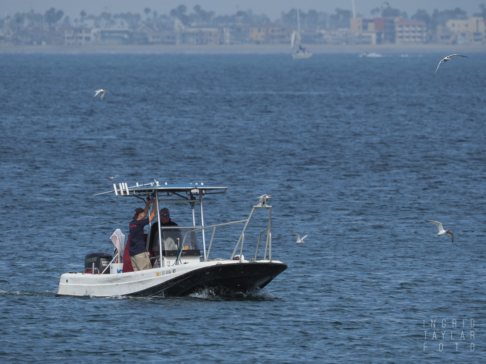 International Bird Rescue Vessel in Long Beach Harbor