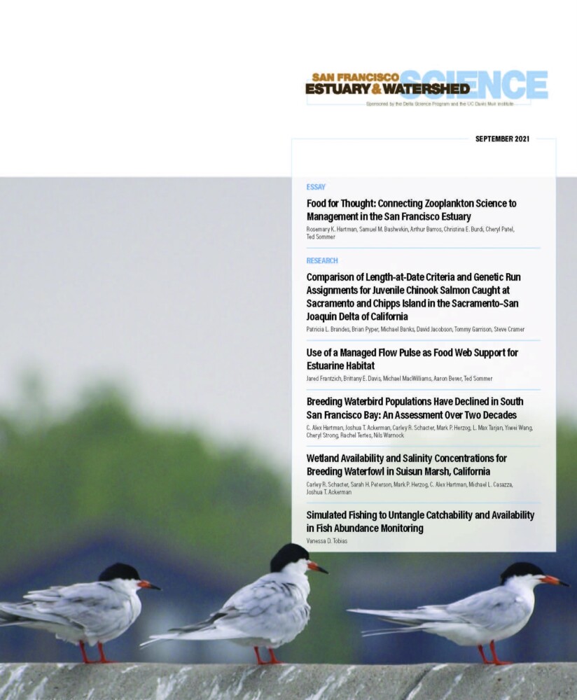 Forster&#039;s Terns on Wall in Alameda