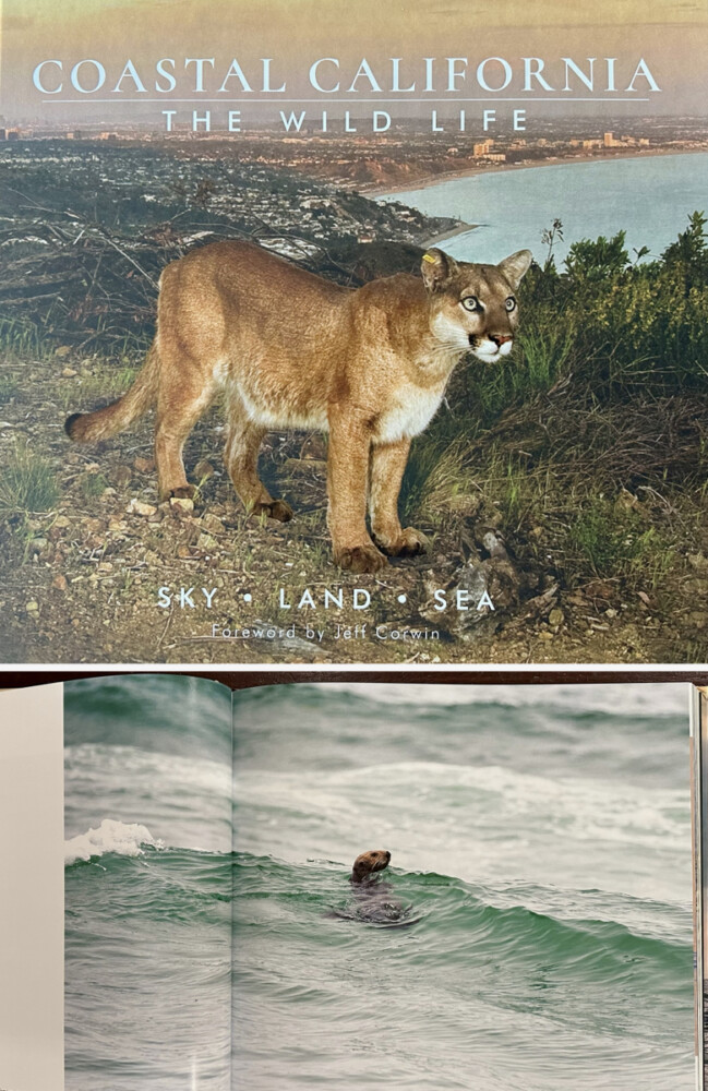 Coastal California - The Wild Life [Book]