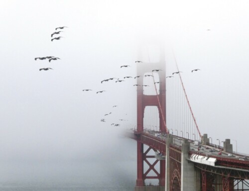 San Francisco
