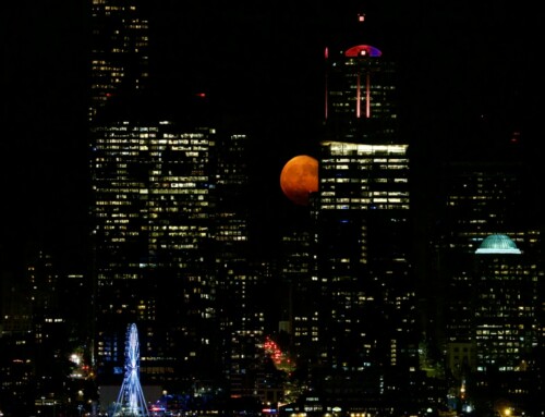 Moon Over the City