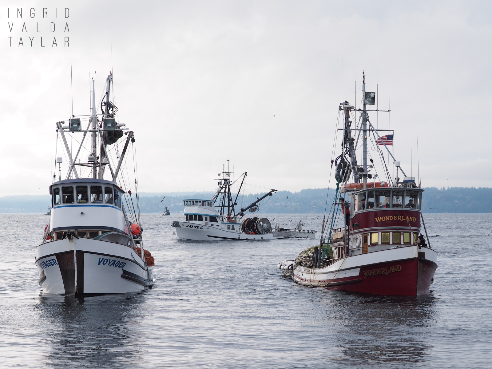 Fishing Boats in Puget Sound