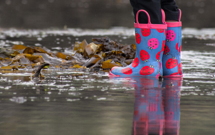 Ladybug Boots at Low Tide in Seattle