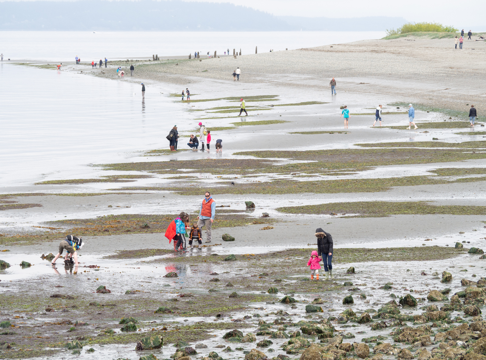 Low Tide at Golden Gardens in Ballard Low Tide at Golden Gardens in Ballard