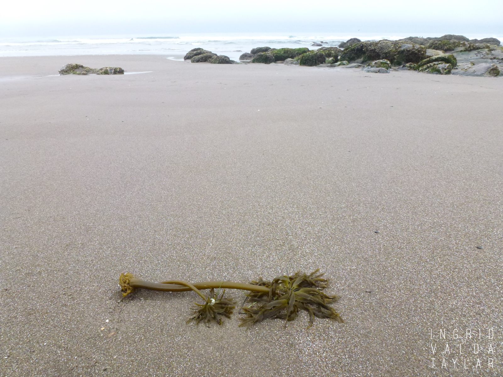 Low Tide on Oregon Coast