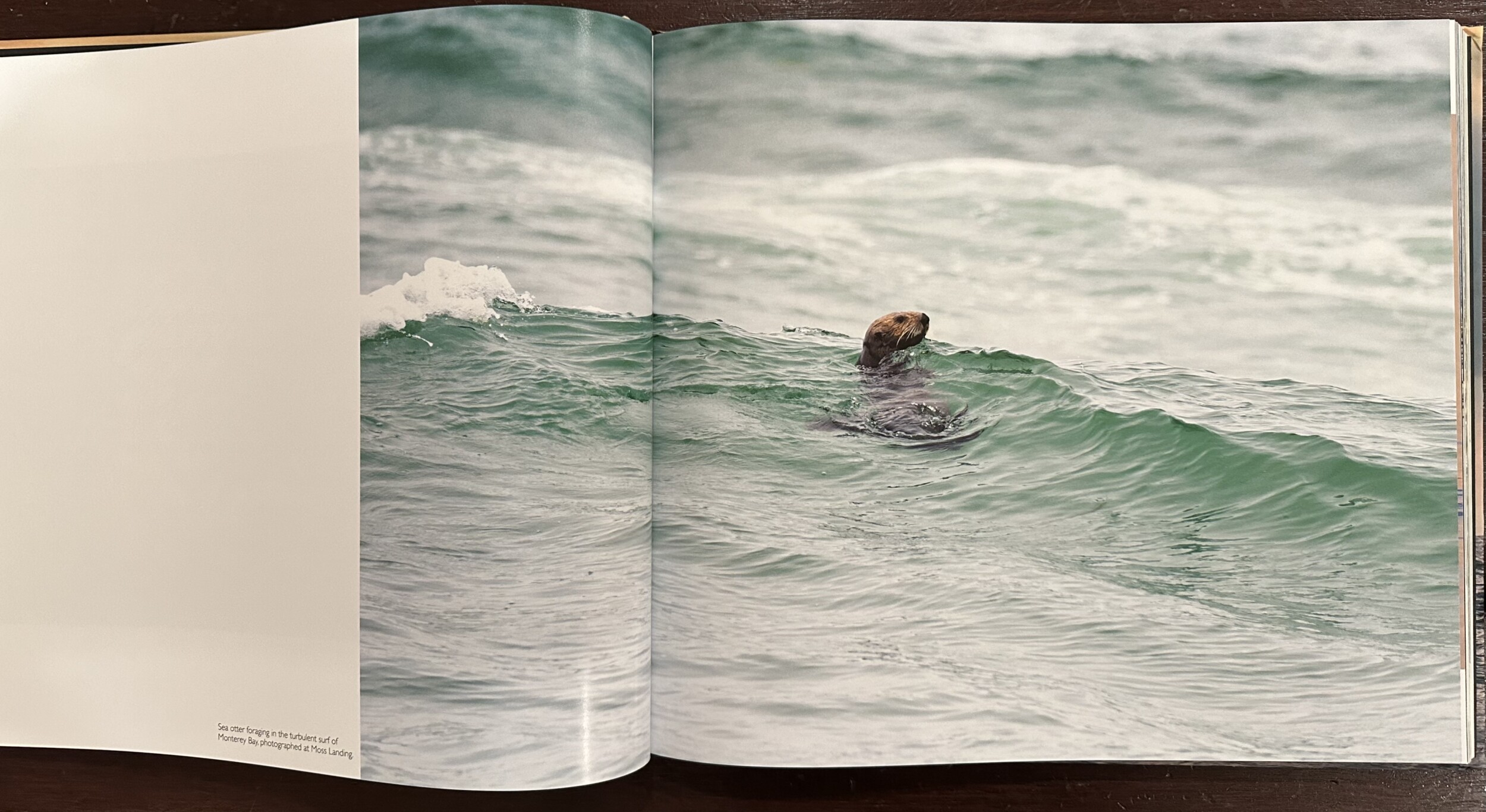 Coastal California Book