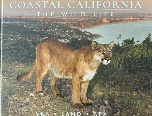 Coastal California: The Wild Life [Fund Raising Book]