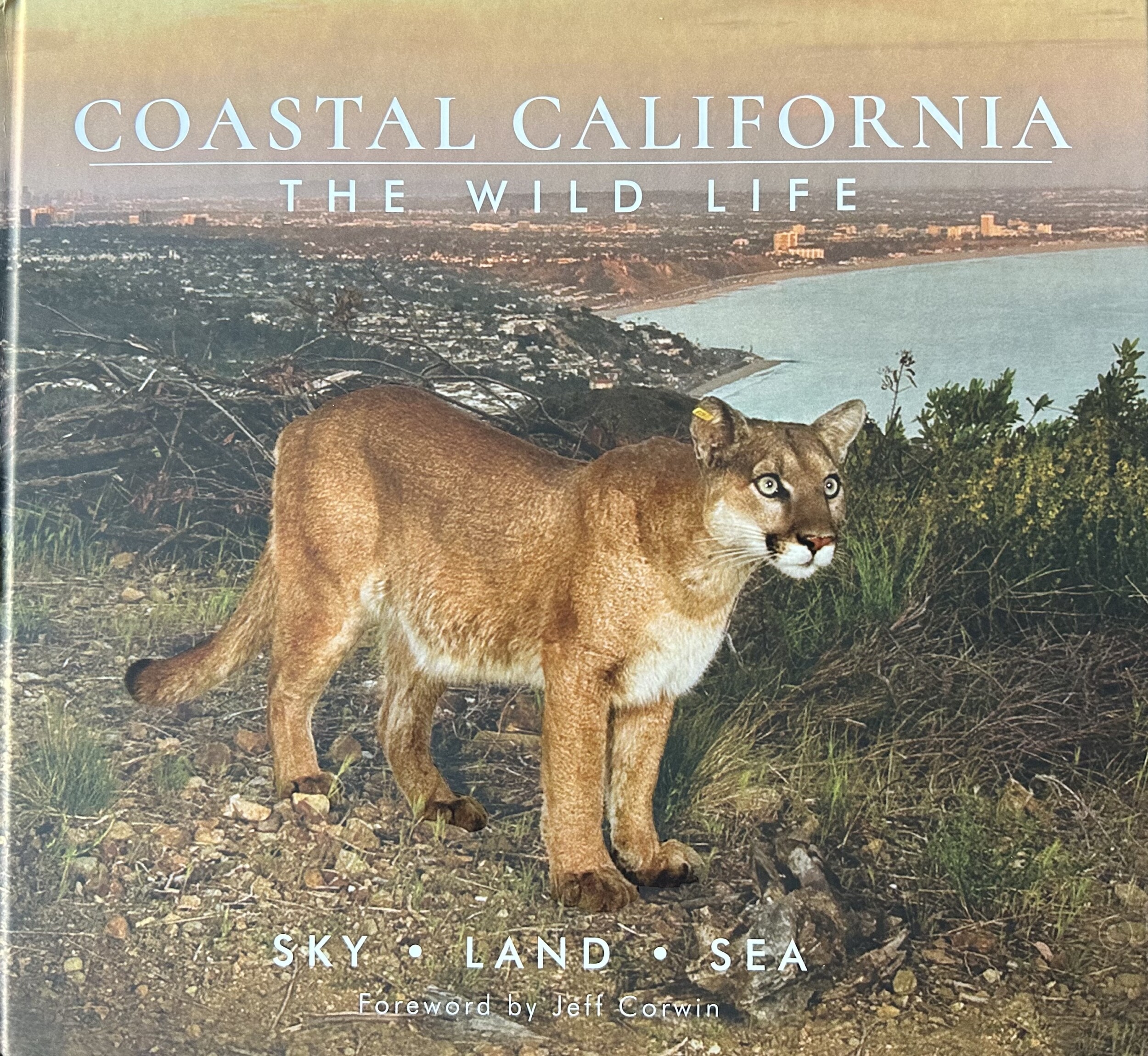 Coastal California Book