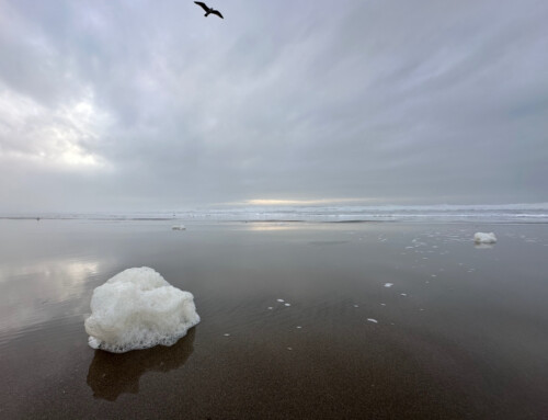 The Icy Illusion of Ocean Foam